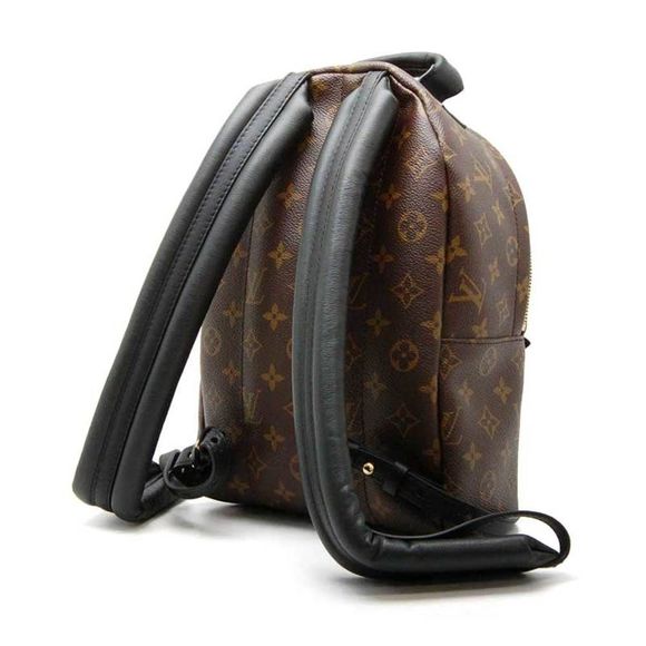 Louis Vuitton Palm Springs Backpack PM Monogram - Picture 2 of 8